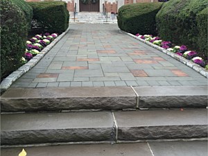 nicolock rusty blue pa bluestone oyster blend stone ridge xl paver brick church walkway garden city pavers rockface steps random pattern